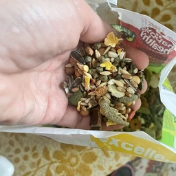 Корм для хом'яків, щурів, мишей, піщанок Versele-Laga Crispy Muesli Hamster зернова суміш 20 кг (611692)