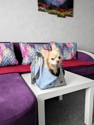 Сумка-переноска для собак і кішок Collar 41х21х27 см до 6 кг Сіра (9977) фото від покупців 5