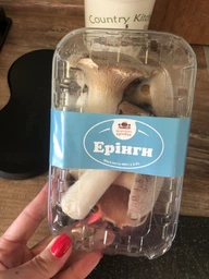 Свежие Грибы Еринги или белый степной гриб упаковка 400г (Pleurotus eryngii)