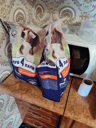Cухой корм CLUB 4 PAWS PREMIUM Клуб 4 лапы для взрослых собак средней породы, 14 кг фото от покупателей 14