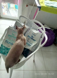 Сухой корм MONGE CAT Sterilised с треской - 1,5 кг фото от покупателей 1