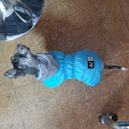 Комбинезон Collar AiryVest One для собак, размер L 50 Розовый (24237) фото от покупателей 1