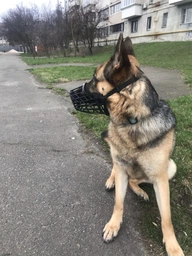 Trixie Muzzle намордник для собак L - чорний фото от покупателей 11