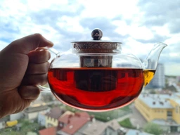 Заварник Ardesto Gemini Roma 800ml фото від покупців 5