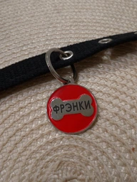 Адресник для Собак Эмалированный BronzeDog "Косточка" Синий 29 мм (94612) фото от покупателей 6