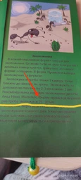 Муравьиная Ферма Стандарт Амазонка КОМПЛЕКТ ДЛЯ НОВИЧКА фото от покупателей 7