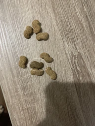 Cухий корм CLUB 4 PAWS PREMIUM Клуб 4 лапи ягня і рис для дорослих собак малих порід, 2 кг фото від покупців 1