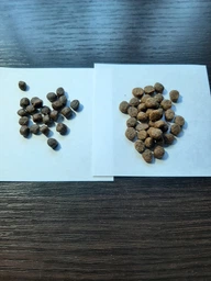 Сухой гипоаллергенный корм для взрослых собак малых пород Brit Care Dog Hypoallergenic Adult Small Breed Lamb с ягненком 7 кг (172651) фото от покупателей 15