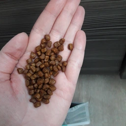 Сухой корм для котят Kitten Chicken курица 1 кг Optimeal фото от покупателей 6