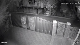 Вулична WIFI камера відеоспостереження Hiseeu WHD813 4MP поворотна PTZ Onvif фото від покупців 7
