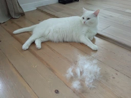 Фурминатор для котов с короткой шерстью FURminator размер M/L (691661) (4048422141259)