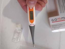 Термометр электронный гибким кончиком Gamma (Гамма) Thermo Soft