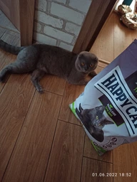 Сухой корм Happy Cat Sterilised Weide-Lamm для стерилизованных кошек и кастрированных котов с ягненком 4 кг фото от покупателей 3