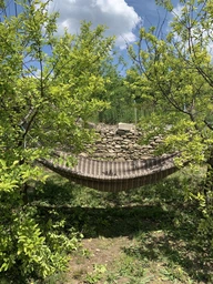 Гамак підвісний Вдалий XL двомісний з планками 270 x 150 см для дачі та пікніка Коричневий з чохлом і мотузками для кріплення фото від покупців 1
