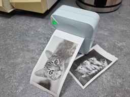 Портативний термопринтер JETIX Mini Printer з Bluetooth для друку без чорнила зі смартфона фото від покупців 4