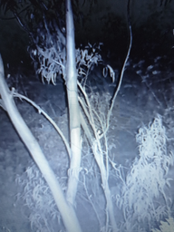 Цифровой прибор ночного видения бинокль Camorder WG535 5-х кратный zoom с функцией записи для охотников и рыбаков фото от покупателей 4
