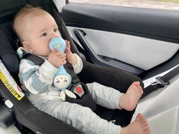 Інтерактивне музичне брязкальце Baby Molar Rattle sobebear YL 5505 прорізувач для зубів Зайчик рожевий фото от покупателей 9
