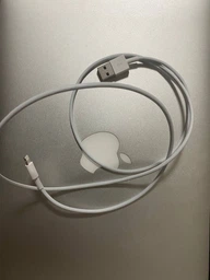 Зарядний кабель Foxconn Lightning для iPhone iPad iPod 1м білий без упаковки
