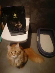 Комкуючий бентонітовий наповнювач для котячого туалету CAT ROYAL лаванда 5 л фото від покупців 4