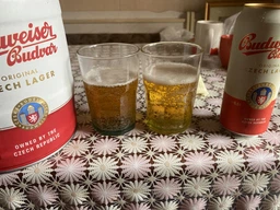 Пиво Budweiser Budvar светлое фильтрованное 5% 5 л (8594403310184_8594403708844) фото от покупателей 5