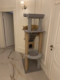 Высокий кошачий комплекс когтеточка с домом, гамаком для котов мелких и средних пород 190х80х60см бежево коричневый фото от покупателей 1
