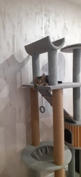 Высокий кошачий комплекс когтеточка с домом, гамаком для котов мелких и средних пород 190х80х60см бежево коричневый фото от покупателей 2