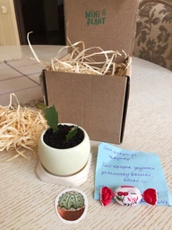 Керамический горшок для суккулентов Mini Plant маленького размера 6,2х6,3см Круг Красный фото от покупателей 3