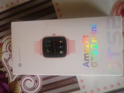 Смарт-часы AMAZFIT GTS 2 mini Sage Green