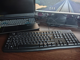 Клавіатура Logitech K120 Black (920-002643)