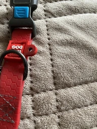 Ошейник для собак водостойкий WAUDOG Waterproof c QR-паспортом пластиковая пряжка-фастекс Ш 15 мм Дл 25-35 см Красный (27393Collar) фото от покупателей 1