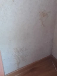 Засіб для видалення плісняви і грибка Galax 500 мл (4260637722546) фото від покупців 3