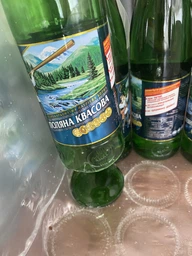 Упаковка минеральной газированной воды Поляна Квасова 0.5 л х 12 бутылок (4820001830033) фото от покупателей 3