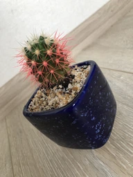 Керамічний горщик для кактусів Mini Plant маленького розміру 6,4х6,5см Квадратний Синій Клеопатра