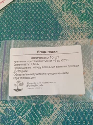 Хлопок семена (10 шт) (Gossypium hirsutum) хлопчатник обыкновенный сухоцвет фото от покупателей 1