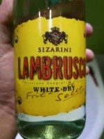 Вино игристое Sizarini Lambrusco белое сухое 0.75 л 10.5% (8004810944488) фото от покупателей 2