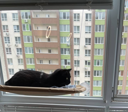 Лежанка для кота на вікно підвісна гамак для кішки на присосках (ОL-152925)