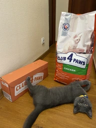 Cухий корм CLUB 4 PAWS PREMIUM Клуб 4 лапи для кошенят КУРКА, 5 кг фото від покупців 12