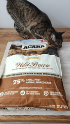Сухой корм с птицей для котов всех возрастов Acana Wild Prairie Cat, 340 гр фото от покупателей 9