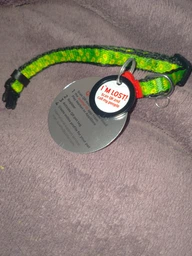 Нашийник для собак нейлоновий Collar WAUCAT Nylon з QR-паспортом, малюнок "Авокадо", пластиковий фастекс, XS, Ш 10 мм, Д 20-30 см (5280) фото від покупців 8