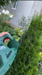 Кусторез электрический Bosch EasyHedgeCut 45 (0600847A05) фото от покупателей 14