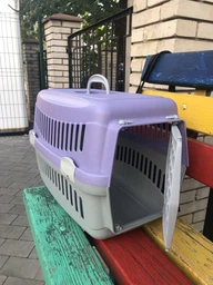 Переноска для кішок і собак Animall CNR-102 48.5х32.5х32.5 см Сіро-м'ятна (2000981202453)