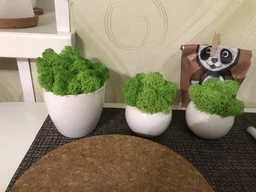 Стабилизированный мох ягель Nordic moss Зеленый травяной светлый 100 грамм фото от покупателей 10