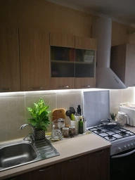 Світлодіодна стрічка MALITAI 220 В для освітлення на кухню 2835 SMD Водонепроникна 5 м колір білий фото від покупців 4