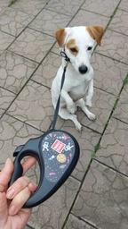 Поводок-рулетка для собак Collar WAUDOG R-leash, рисунок "NASA", S, до 15 кг, 5 м, светоотражающая лента (8124-0047-01) фото от покупателей 1
