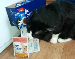 Влажный корм для кошек Purina Cat Chow Adult кусочки в желе с говядиной и баклажанами (26х85г) фото от покупателей 1