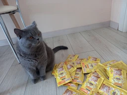 Влажный корм для взрослых кошек Purina Friskies кусочки в подливе с курицей (26х85г)