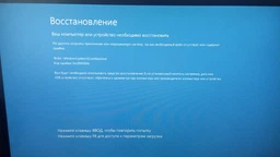 SSD диск Kingston KC2000 250GB NVMe M.2 2280 PCIe 3.0 x4 3D NAND TLC (SKC2000M8/250G) фото от покупателей 1