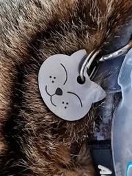 Адресник для Котов BronzeDog из Нержавеющей Стали Довольный Котик Серебристый 20*19 мм (90361) фото от покупателей 14