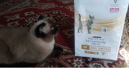Сухий корм для котів при захворюваннях нірок Pro Plan Veterinary Diets NF Renal Function Advanced 1,5 кг фото від покупців 5
