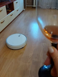 Робот пылесос Xiaomi Mi Robot Vacuum-Mop 2 фото от покупателей 10